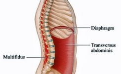 Transverso del abdomen