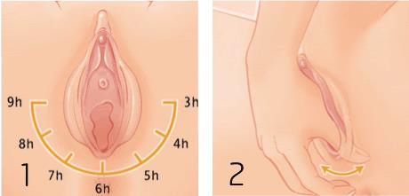 Conoce tu Suelo pélvico y cómo hacer masaje perineal ⋆ Marina Matrona