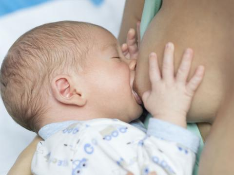Sin sentido Abuso Todavía Agarre correcto en Lactancia materna - Dinamica Fisioterapia